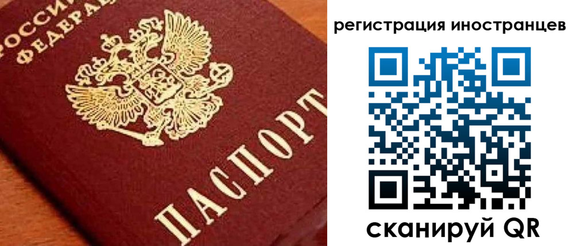 прописка для школы в Чайковском